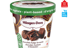 HAAGEN DAZS plant-based chocolate fudge brownies tub